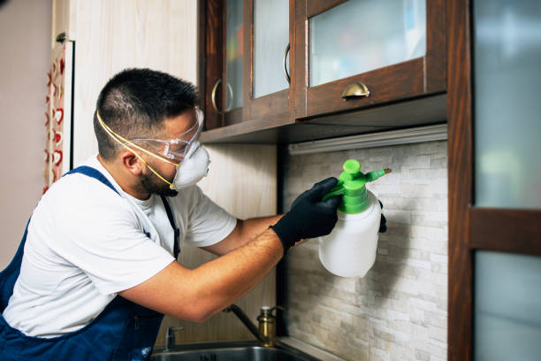 Best Pest Removal Services  in College Place, WA