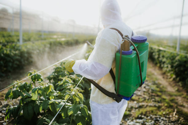 Wildlife Control Services in College Place, WA